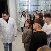 Tissue engineering